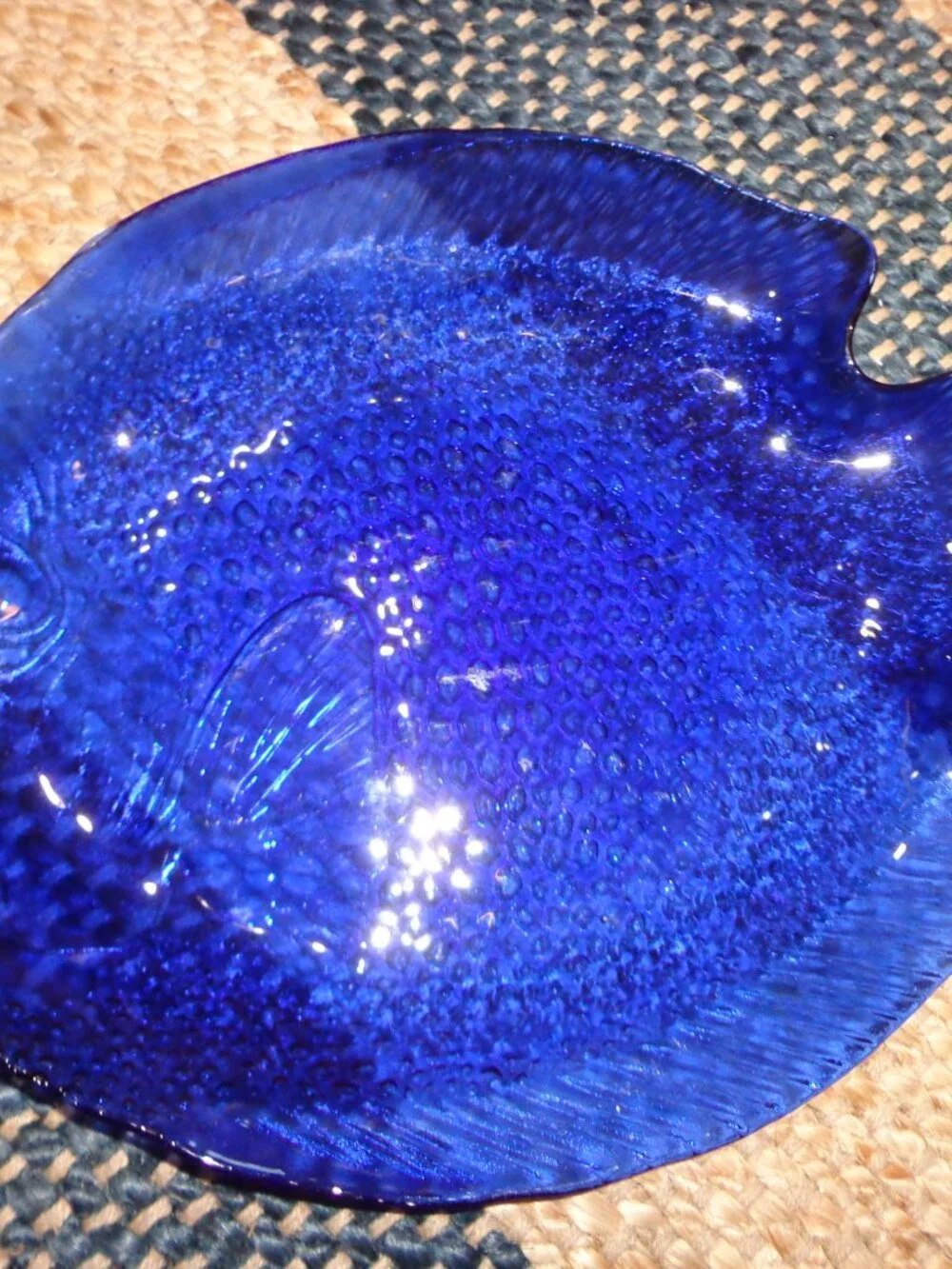 N/A glass fish